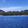 Platja de Formentor