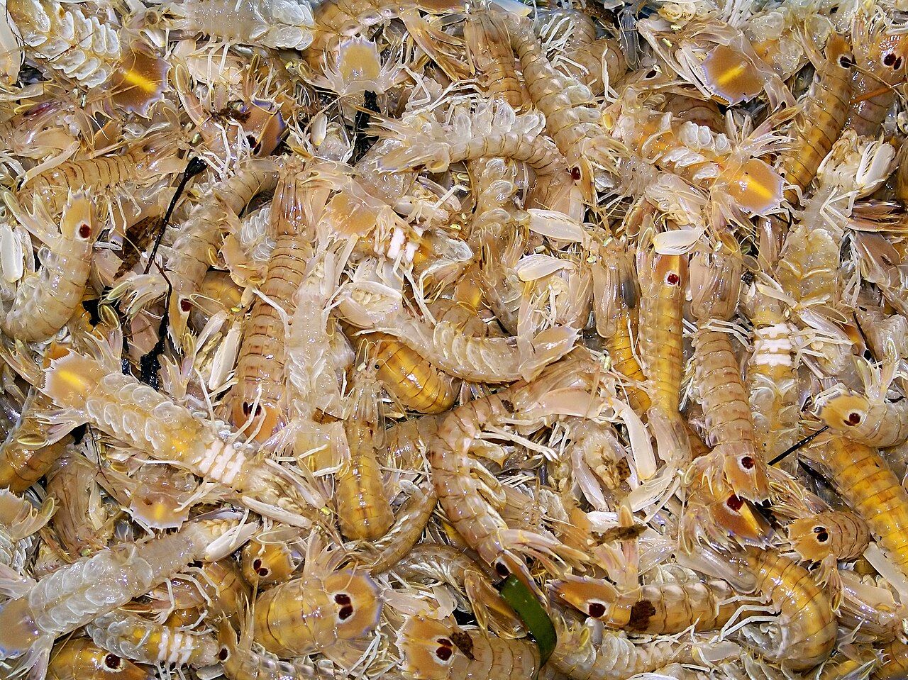 L'Ametlla de Mar