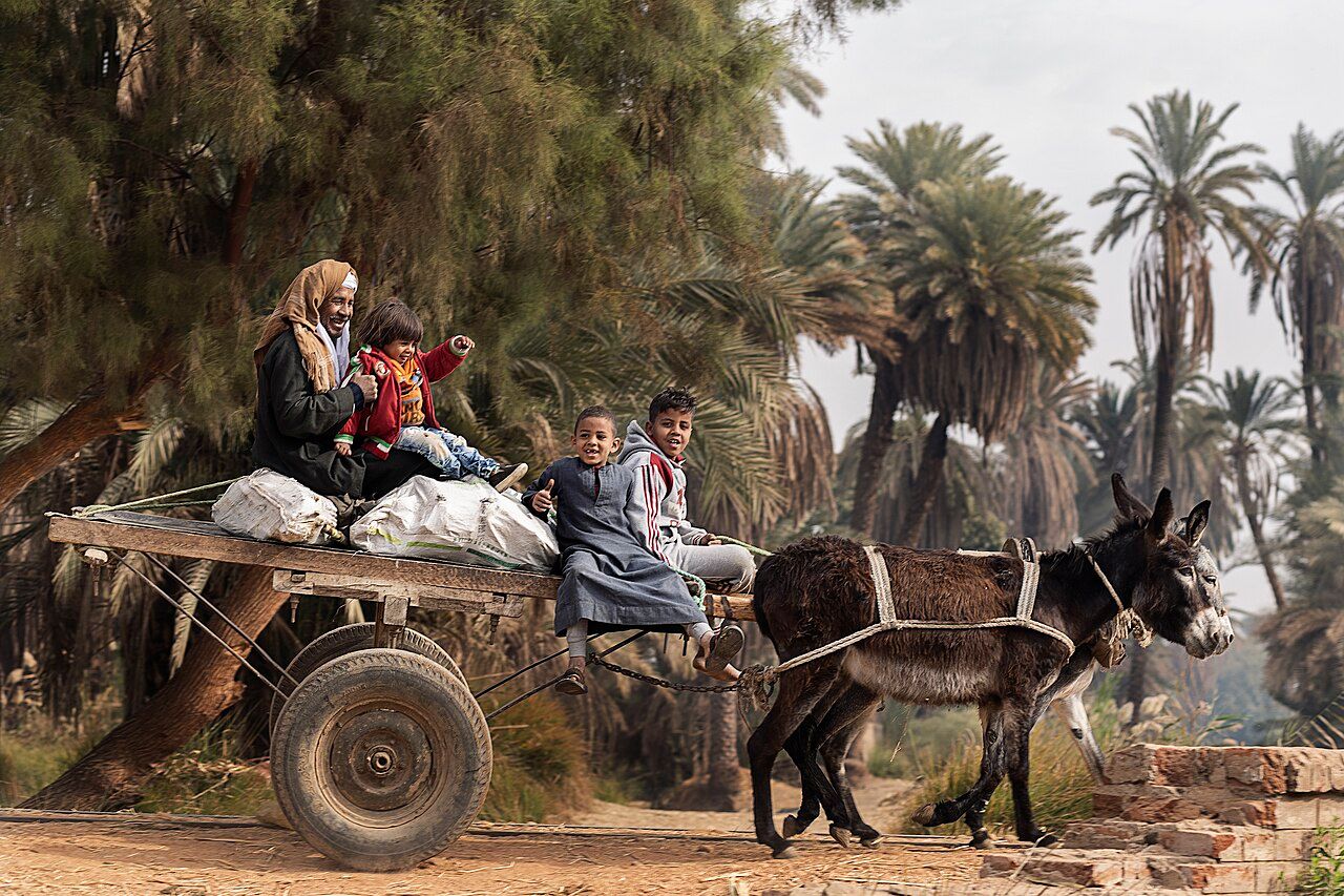 Aswan