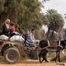 Aswan