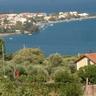 Panormo