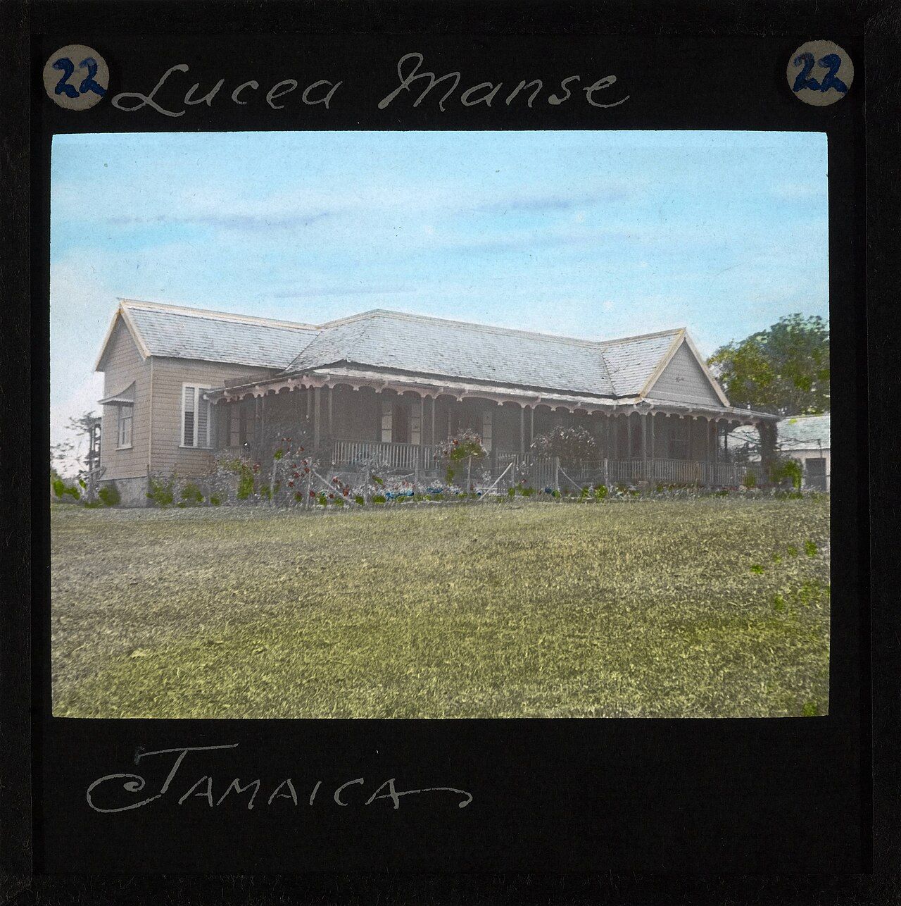 Lucea