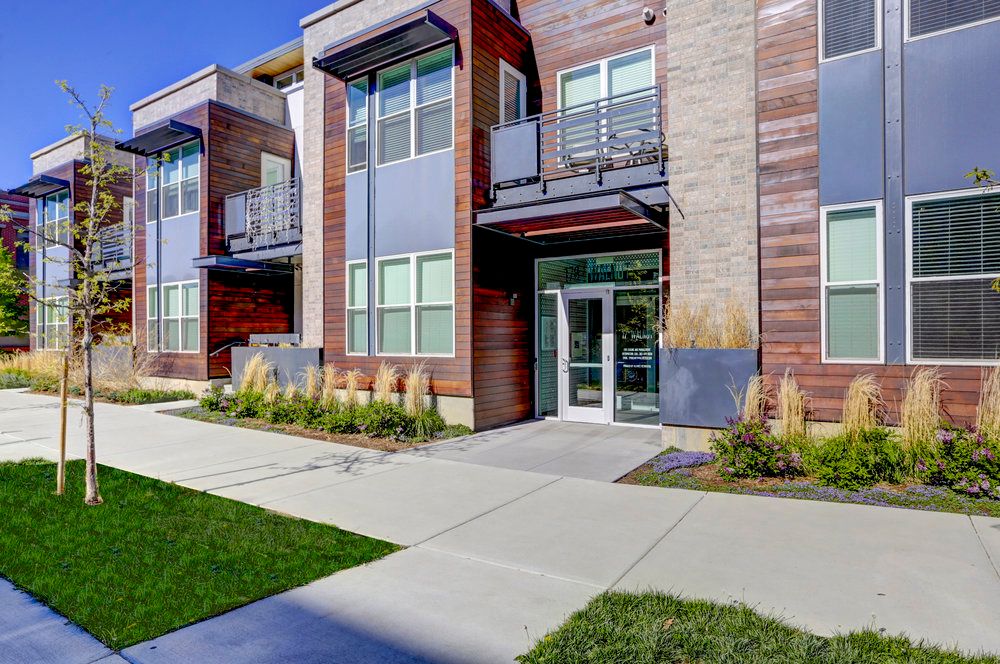 17 Walnut
