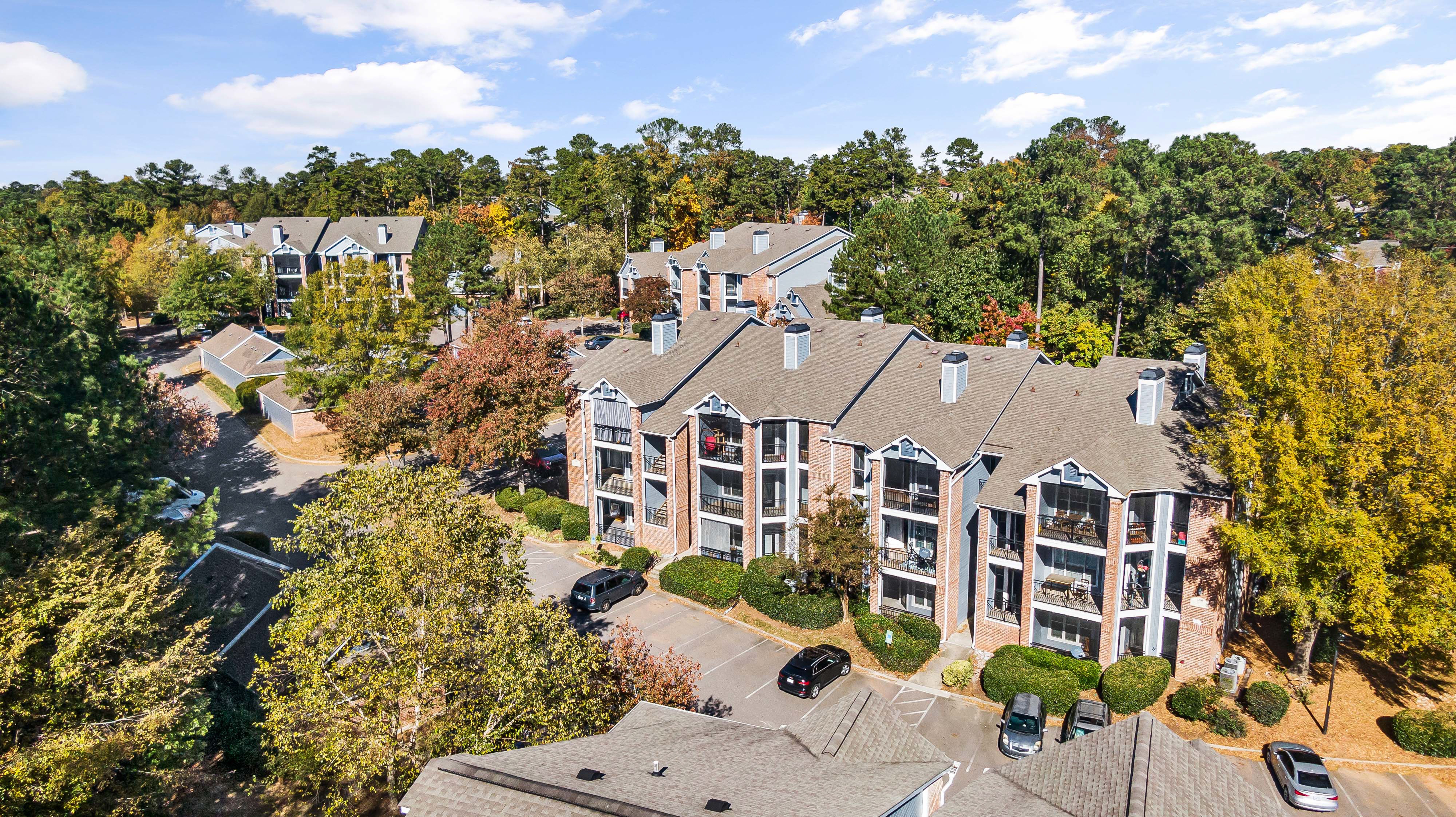 Cary Greens