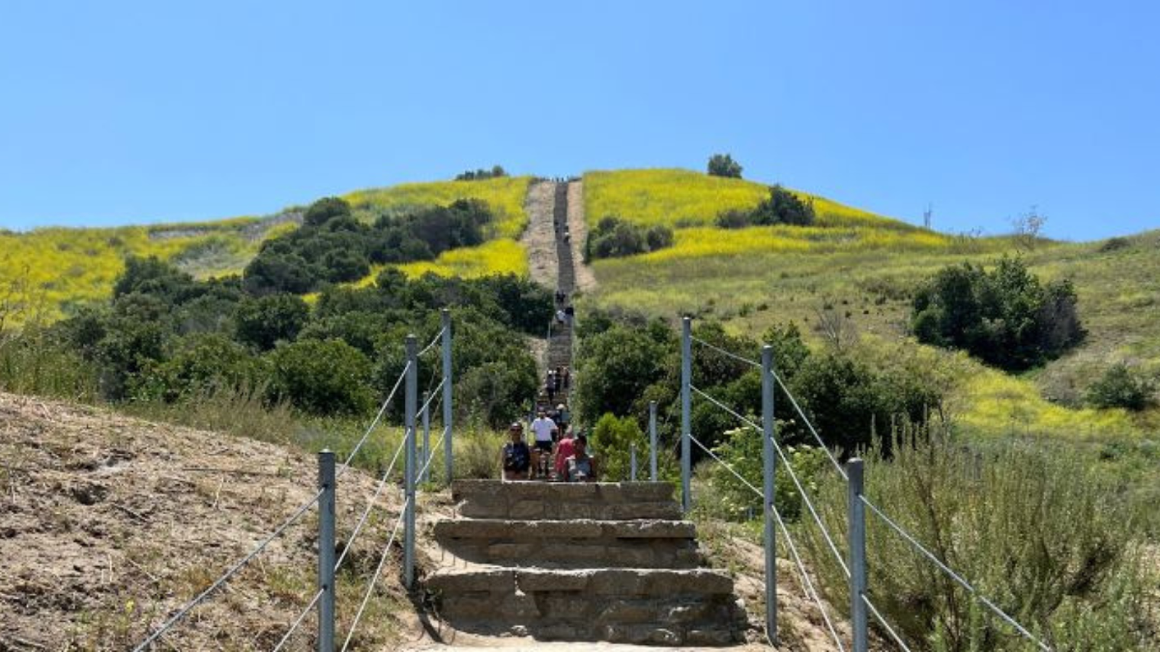 Spectacular Spots for Personal Training in Los Angeles