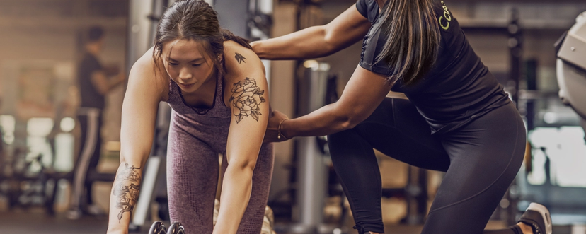 Why Our Trainers' Expertise Sets Svetness Training Apart