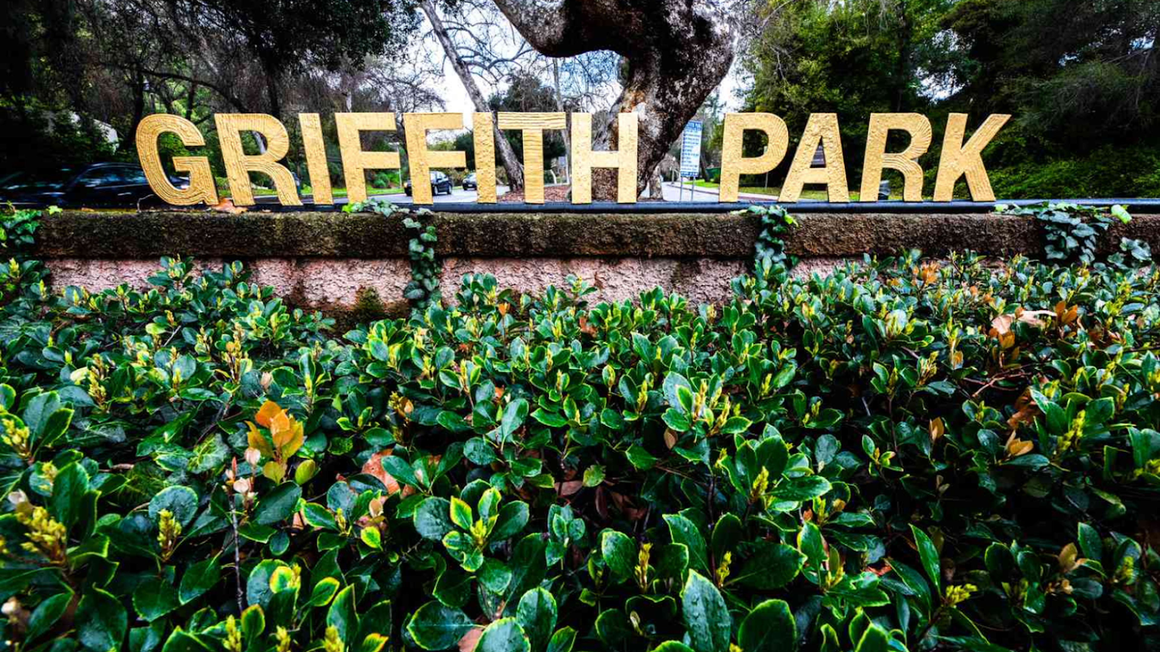 Spectacular Spots for Personal Training in Los Angeles