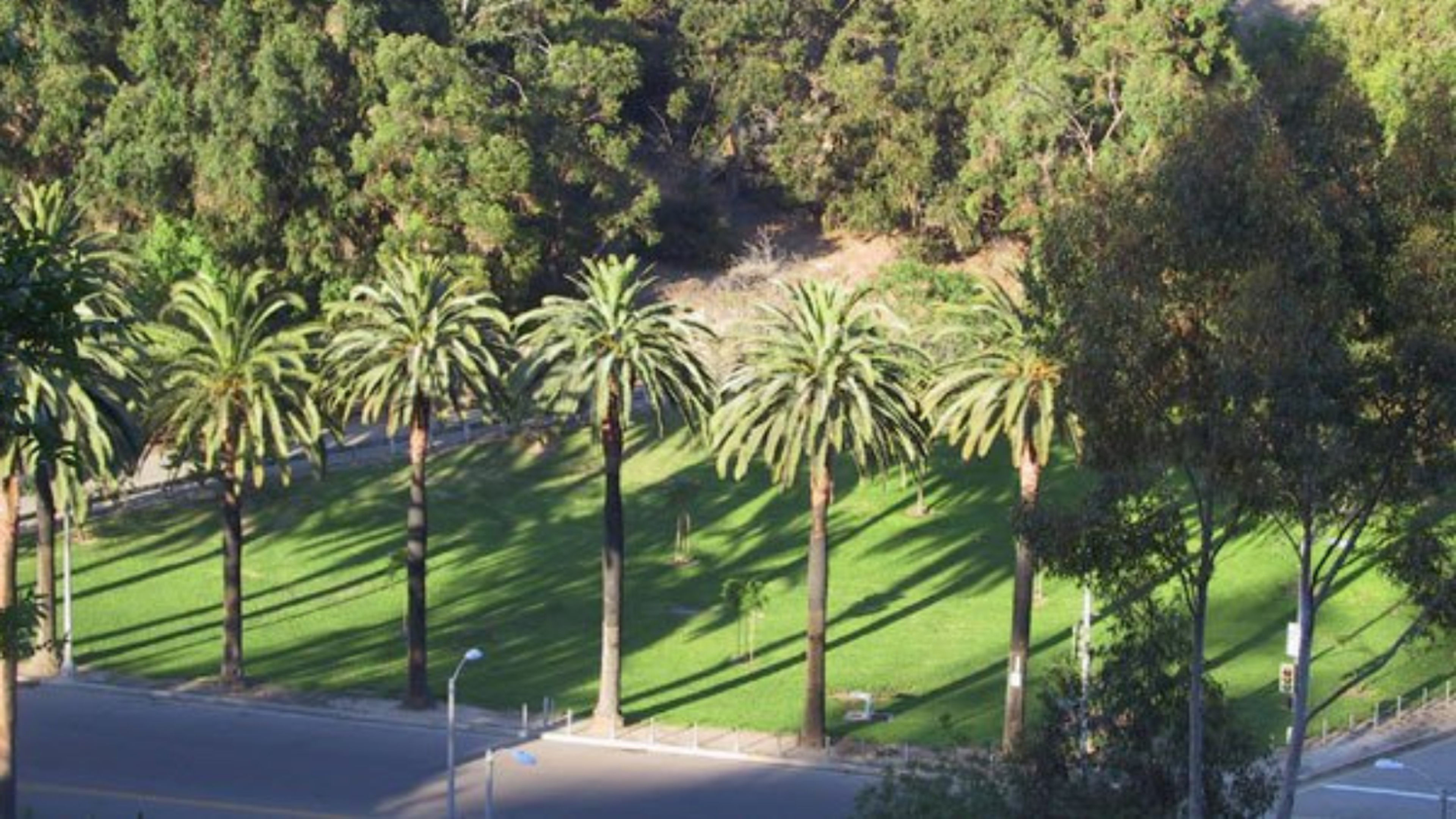 Spectacular Spots for Personal Training in Los Angeles