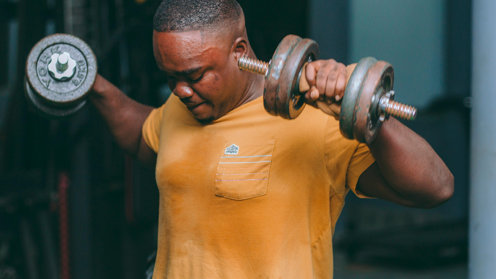 Training Approaches That Shape Your Look