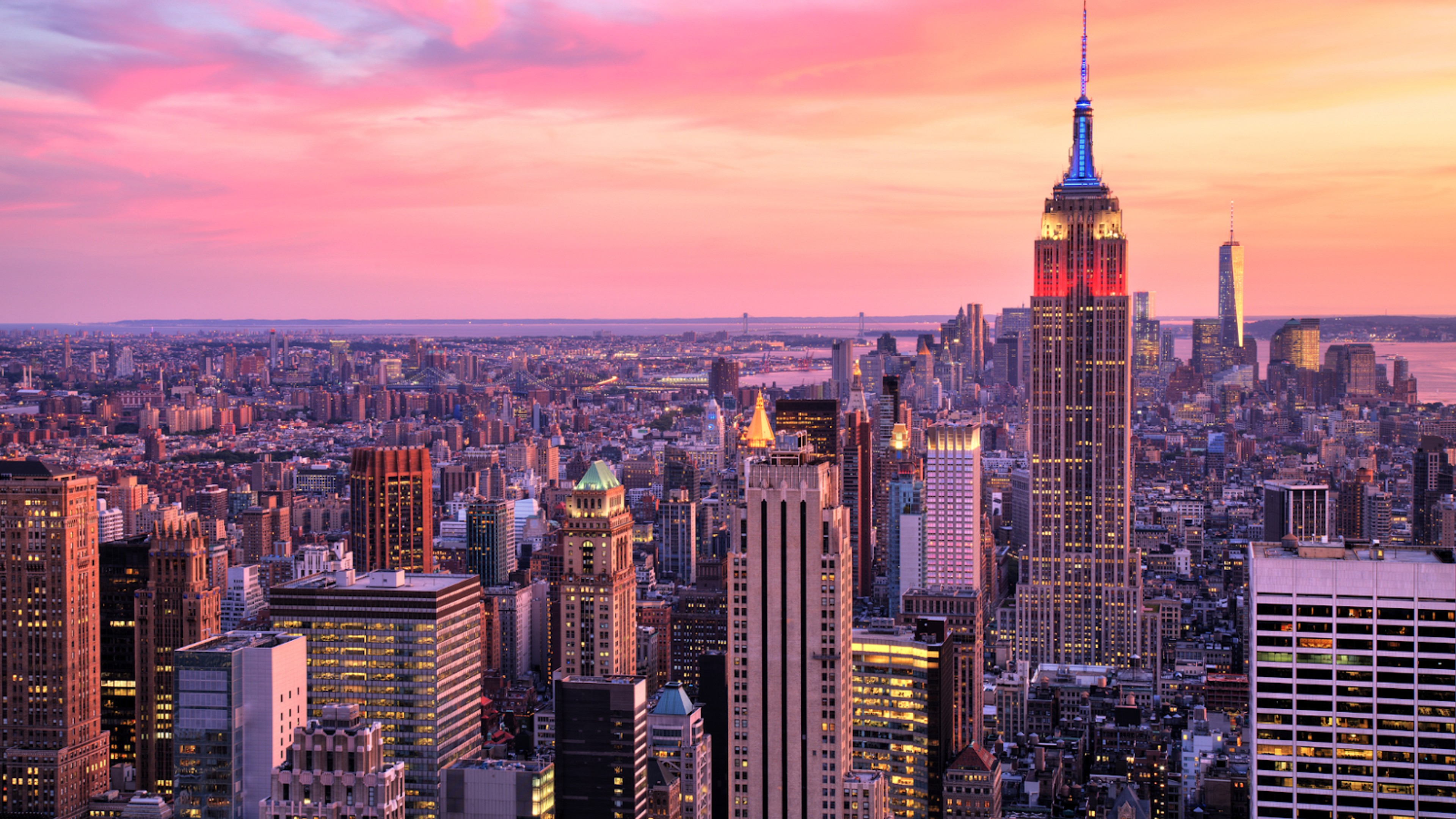 How Svetness Offers the Best Personal Training in New York