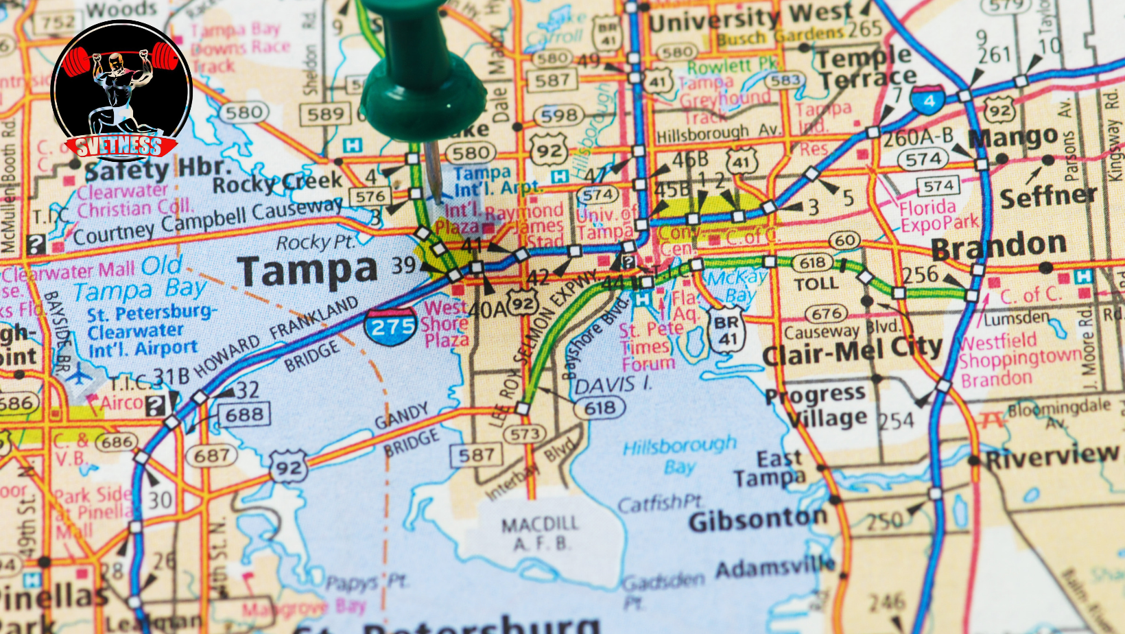 Personal Trainer Tampa: What to Know Before Hiring One