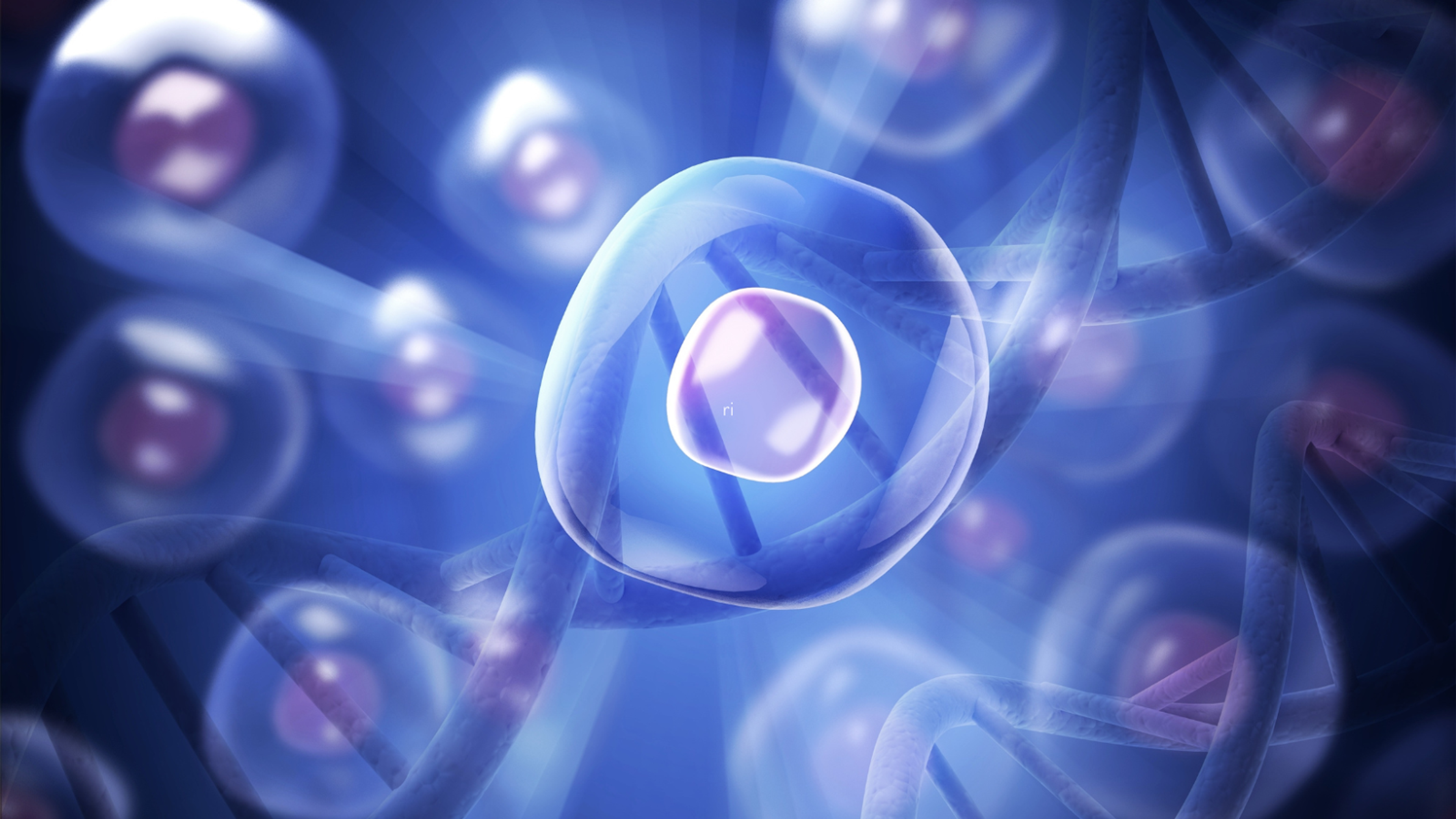 Transformative Longevity Breakthroughs: Pioneering the Future of Aging