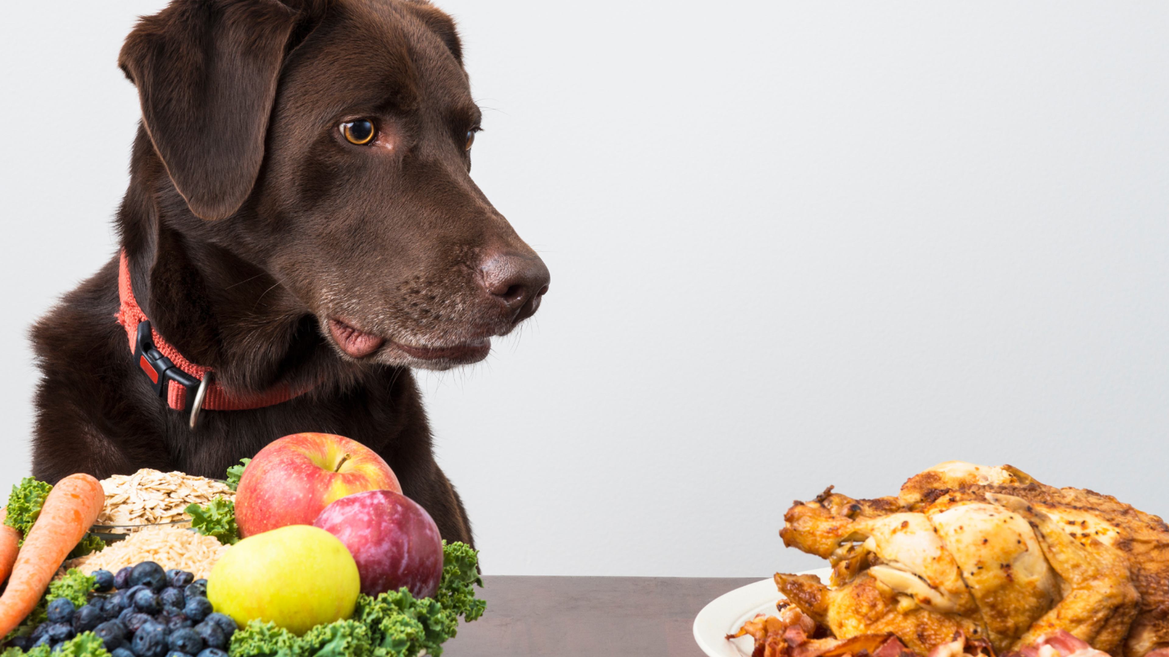 How the Pegan Diet Differs From Paleo and Vegan Diets