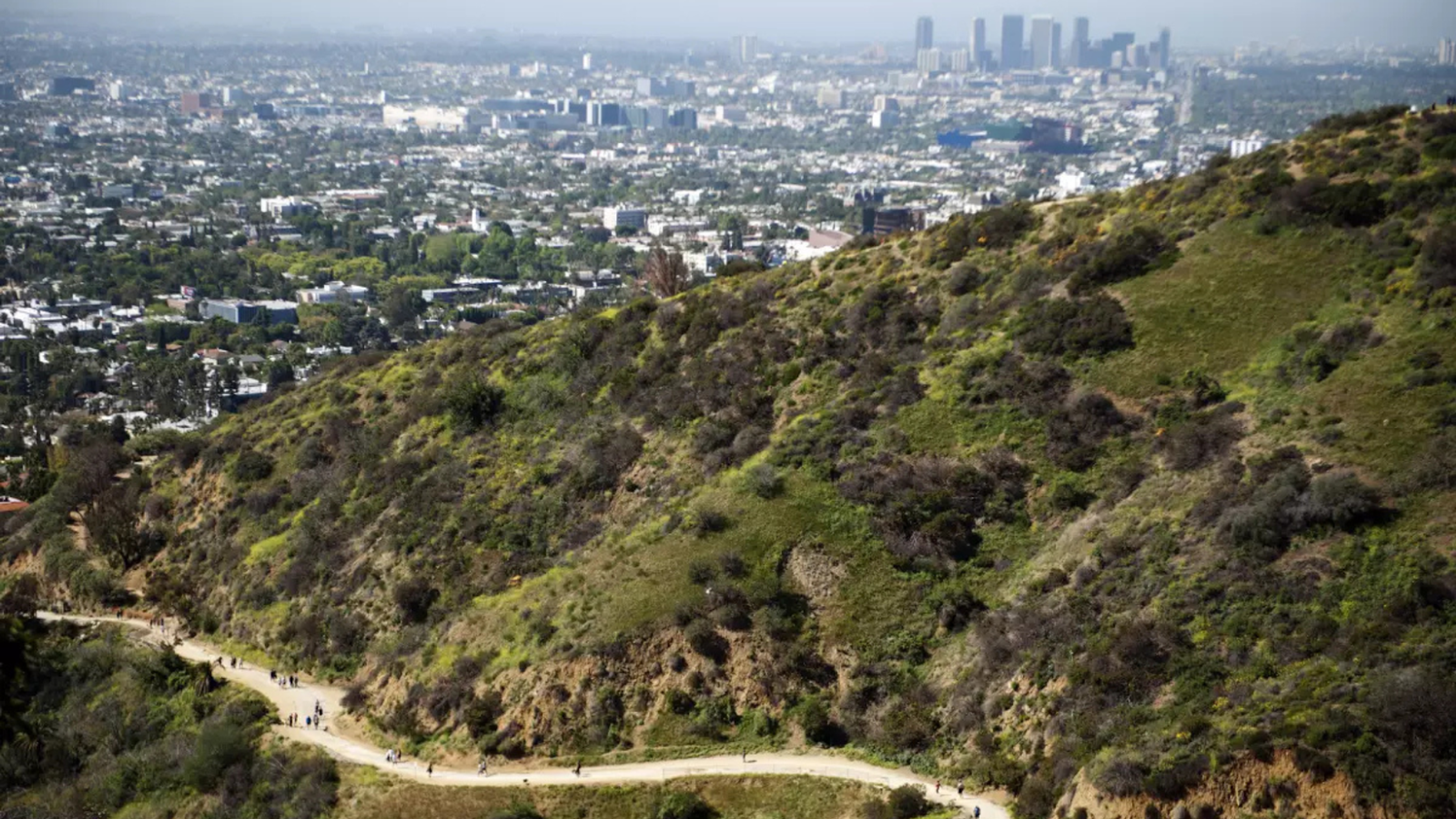 Spectacular Spots for Personal Training in Los Angeles