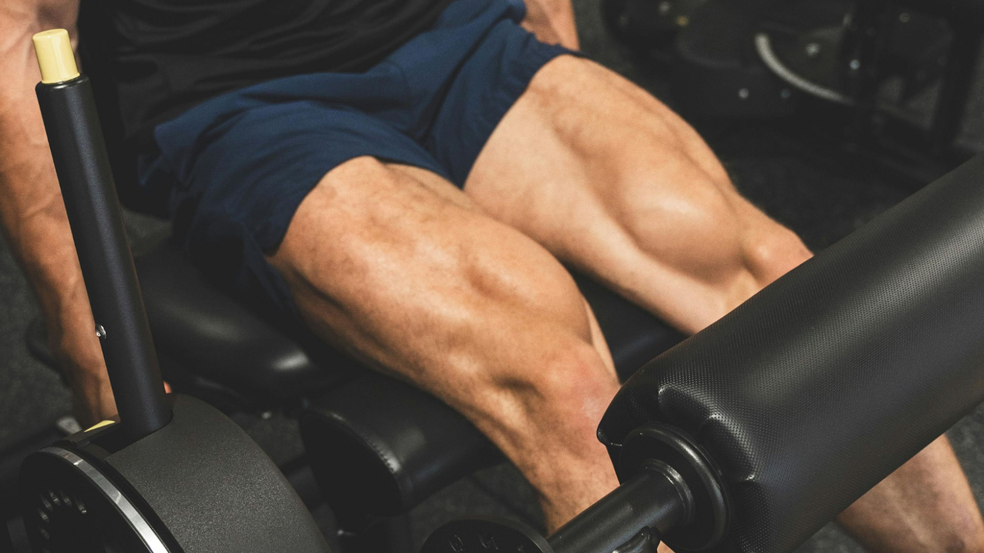 Leg training