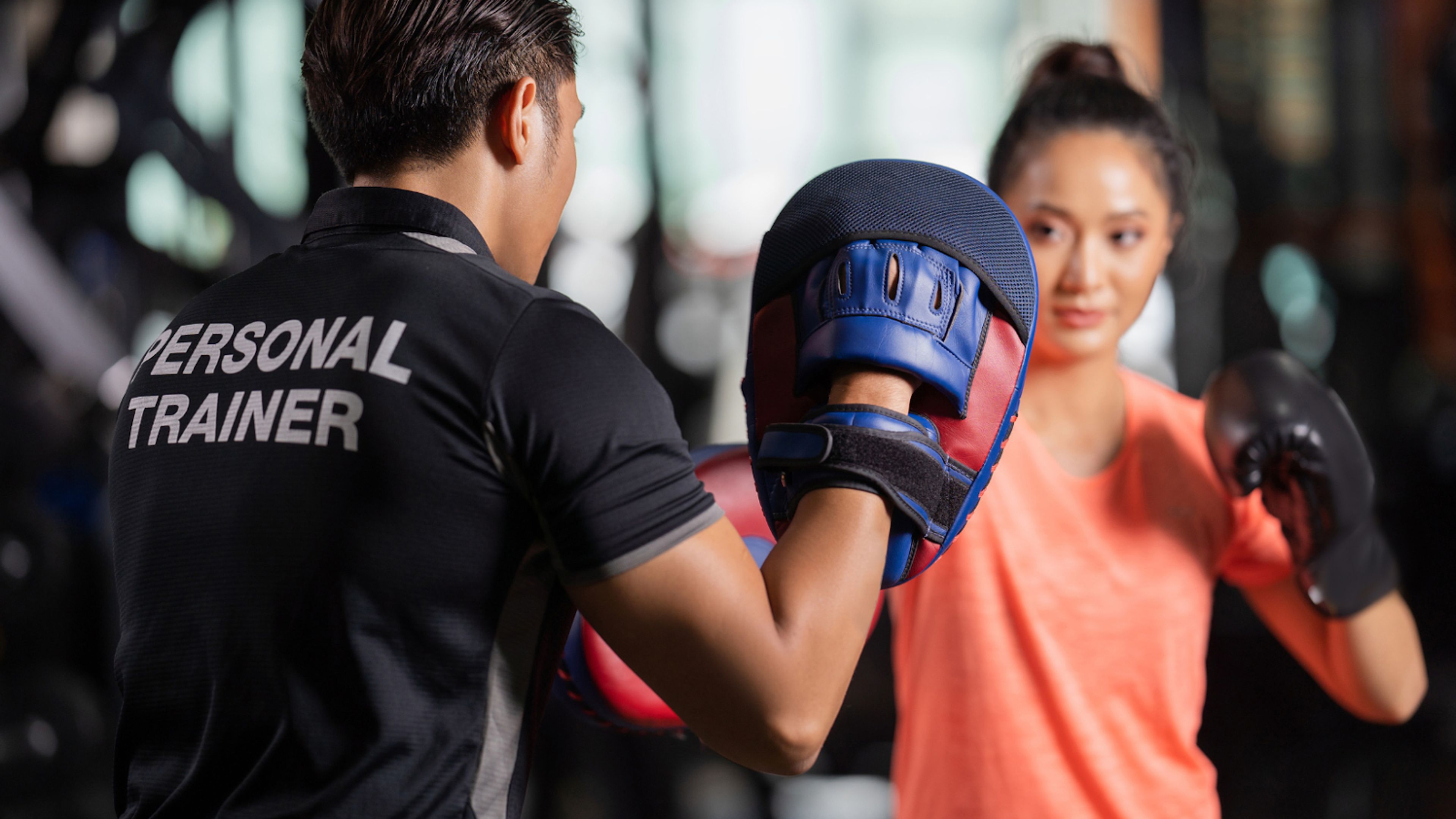 box training