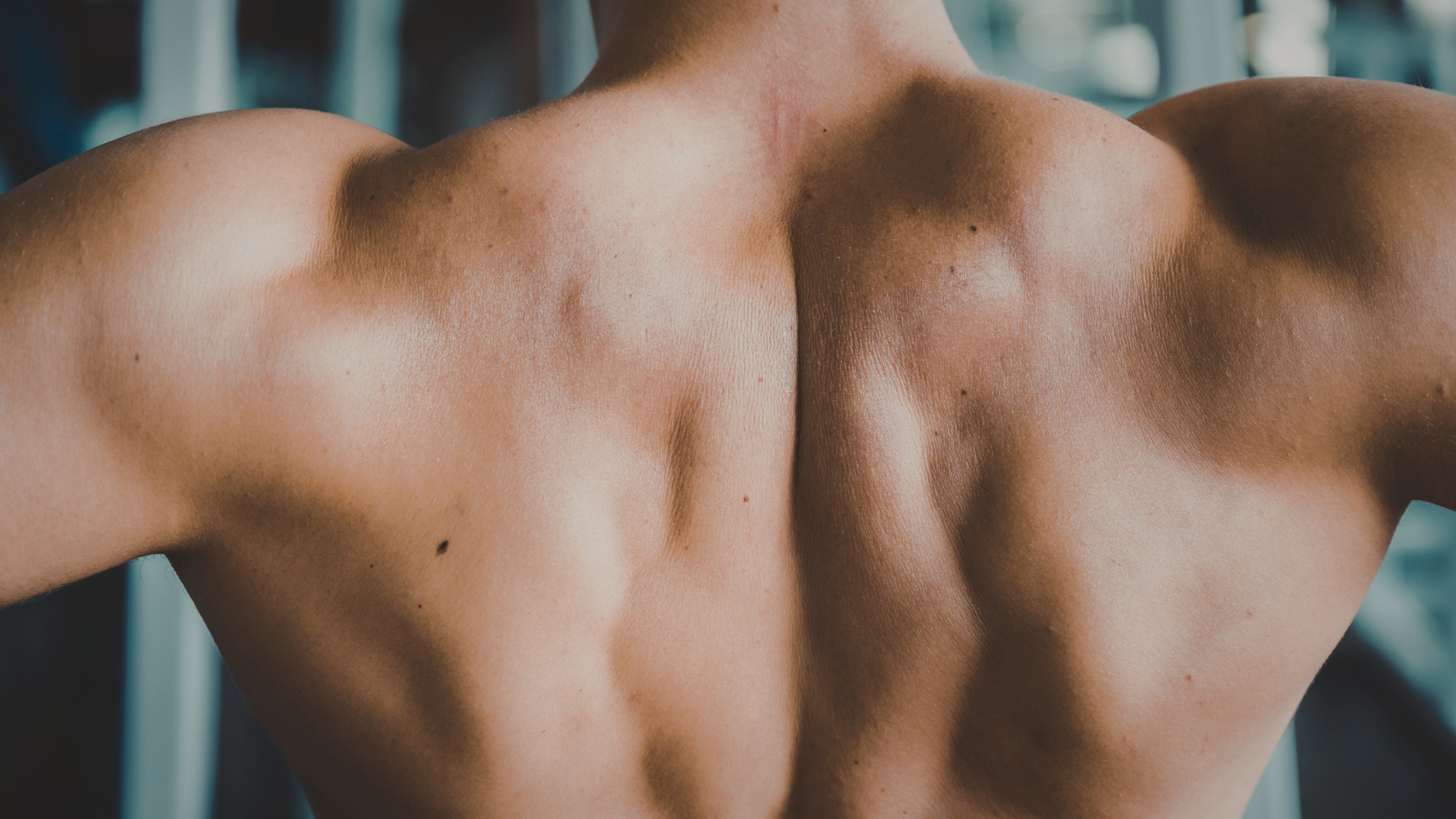 What Middle Traps Do for Your Upper Body