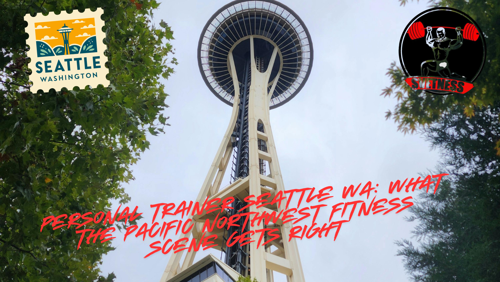 Personal Trainer Seattle WA: What the Pacific Northwest Fitness Scene Gets Right