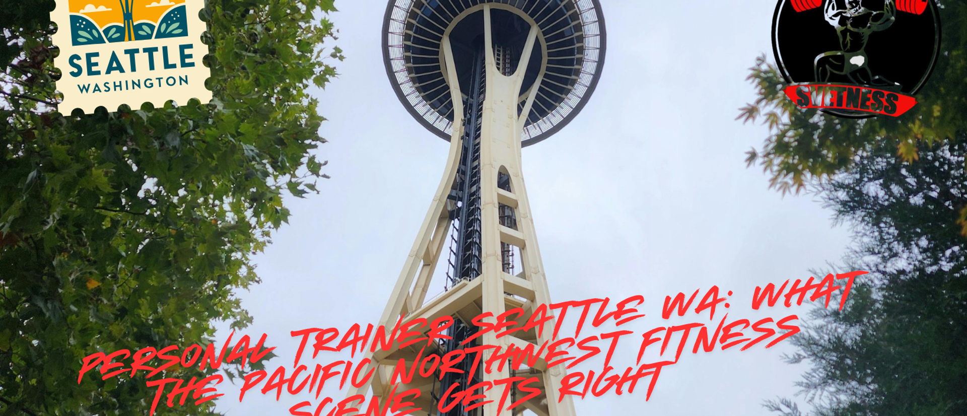 Personal Trainer Seattle WA: What the Pacific Northwest Fitness Scene Gets Right