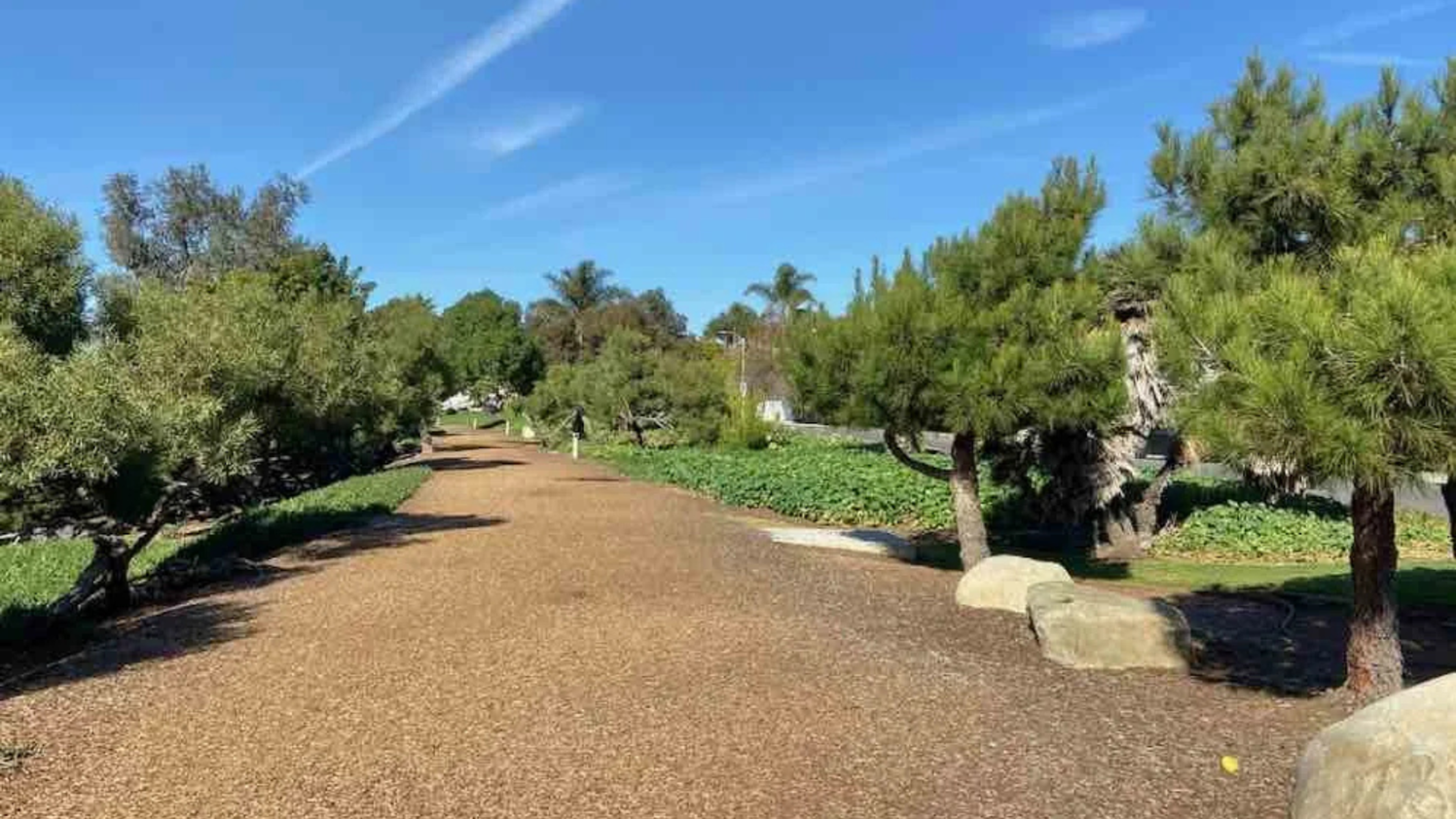 Spectacular Spots for Personal Training in Los Angeles
