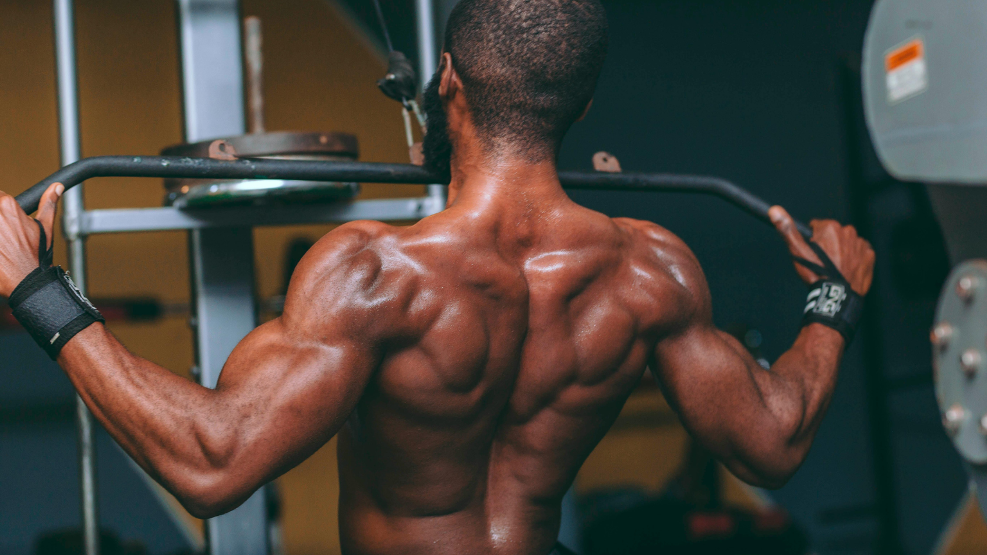 The Power of Progressive Overload