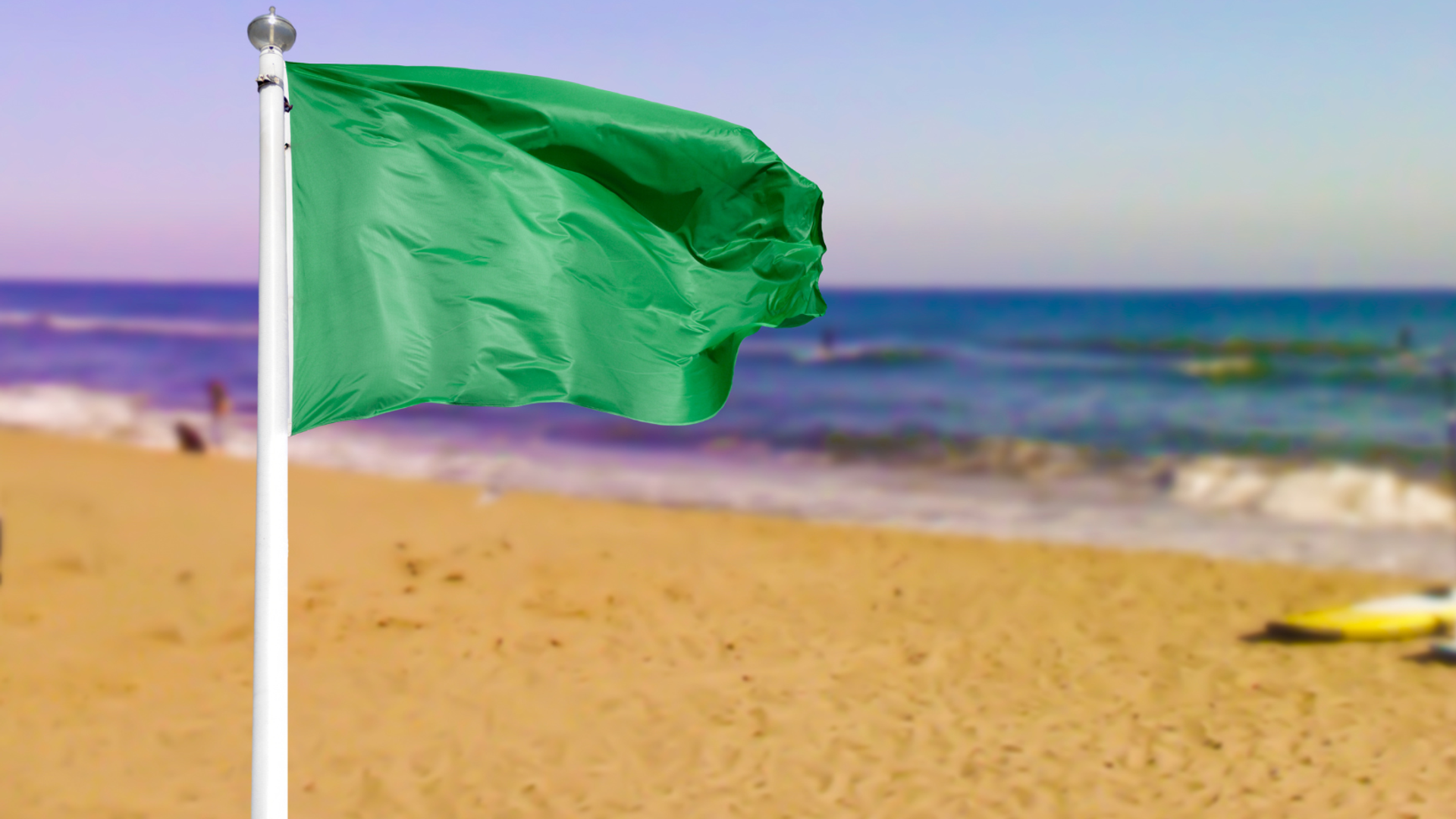 3 Green Flags of Trustworthy Fitness Coach Reviews