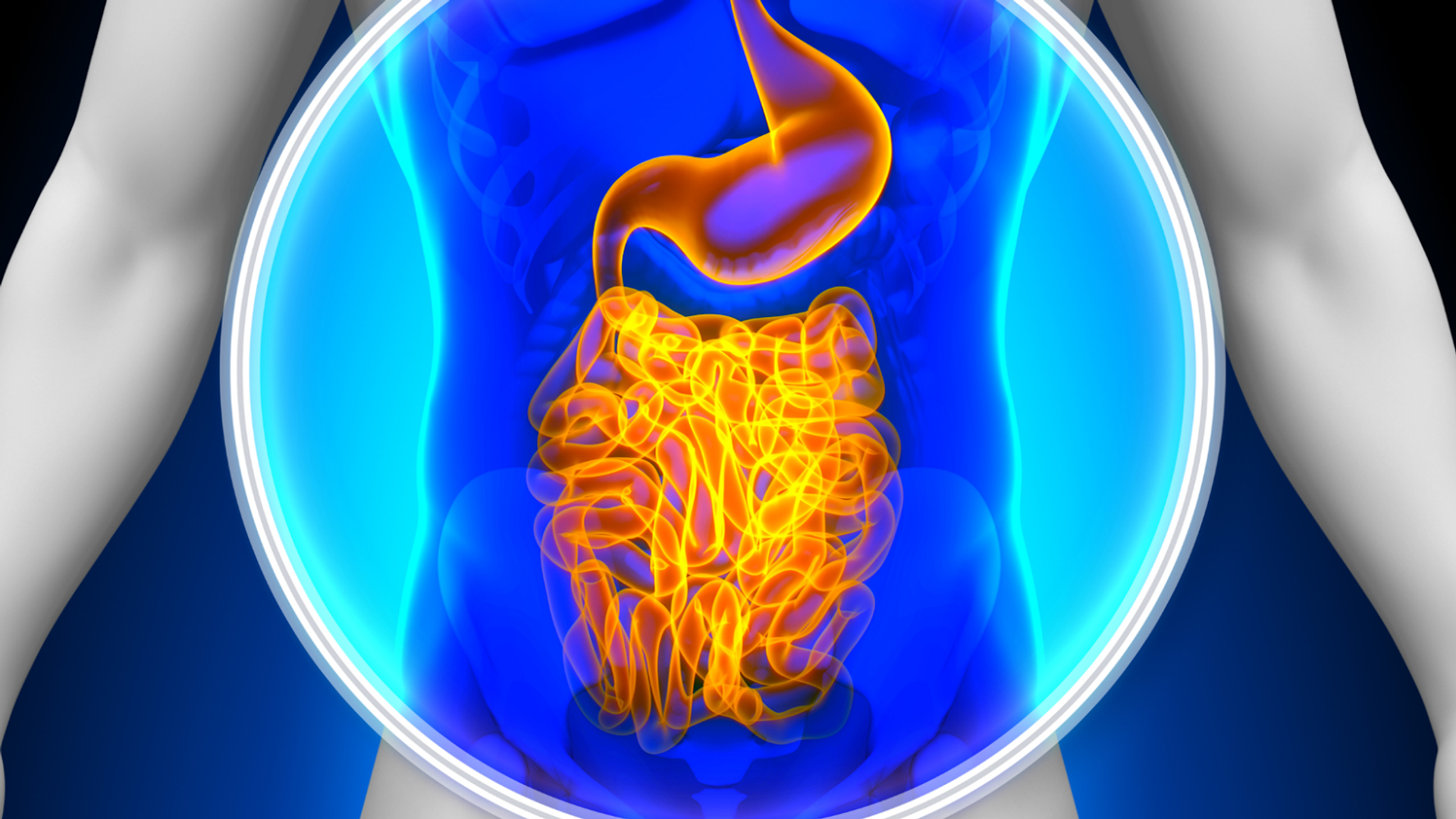The Impact of Strength Training on Long-Term Health