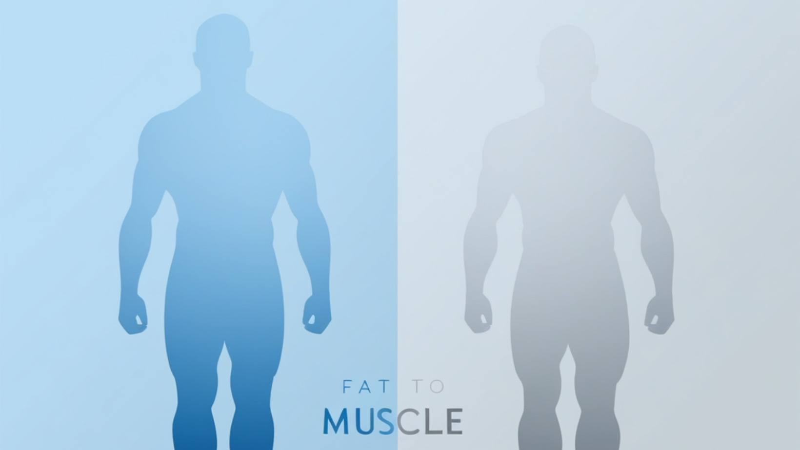 What Is Body Recomposition and How Does It Transform Your Appearance?