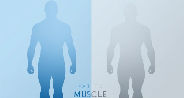 What Is Body Recomposition and How Does It Transform Your Appearance?