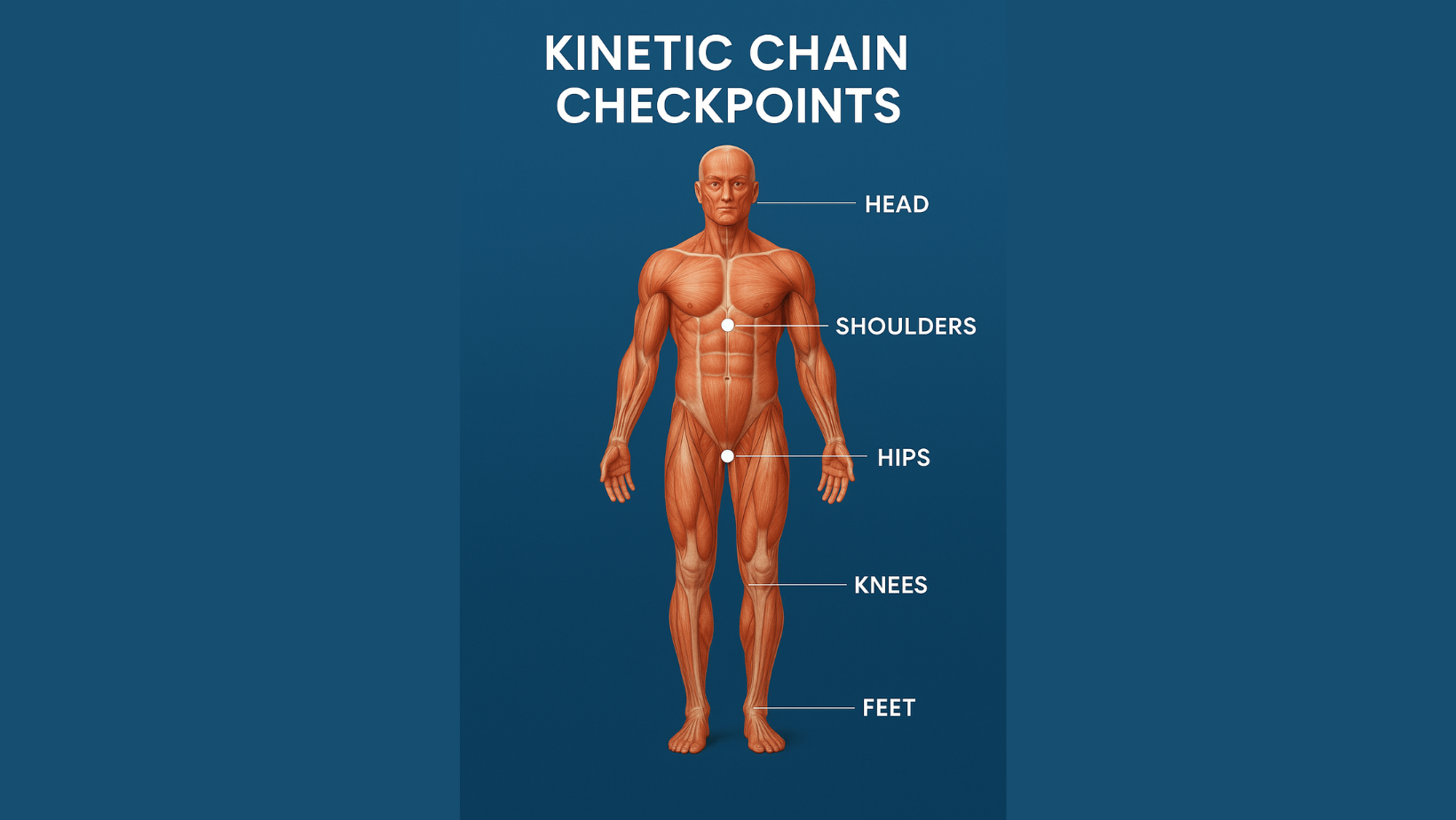 Breaking Down the 5 Kinetic Chain Checkpoints