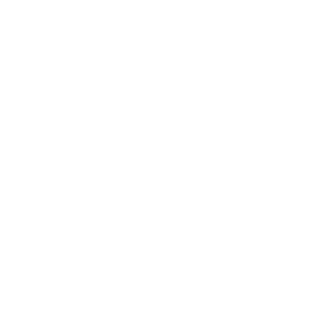 Municipal court icon