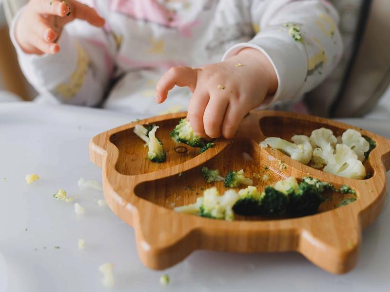 Starting solids with confidence: when to begin, what to offer, and how to do it safely
