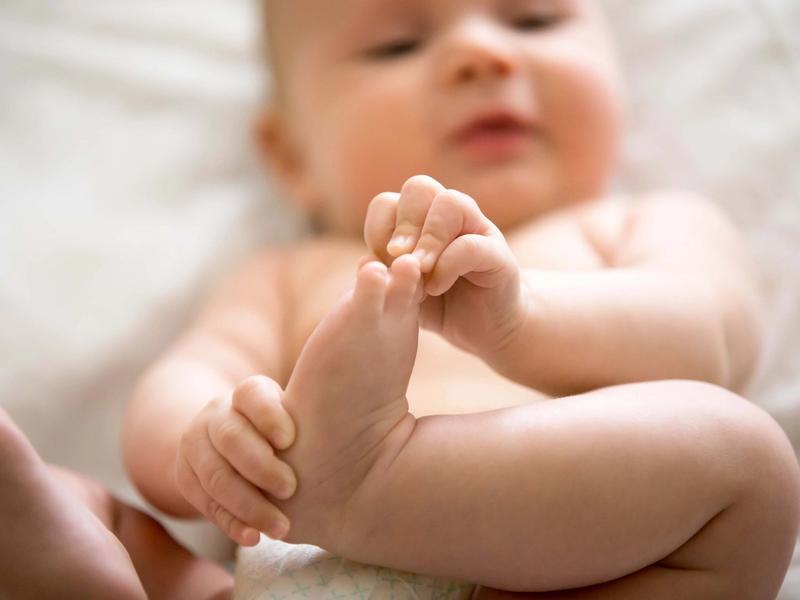 The Evolution of Infant Bones: From Cartilage to Bone