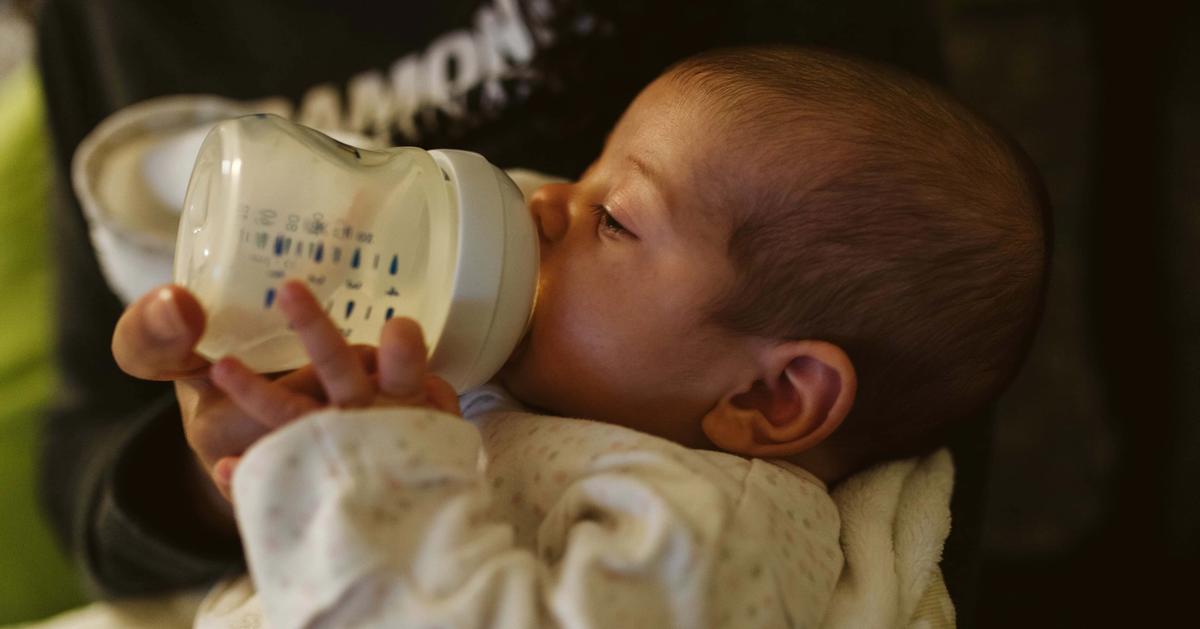 Feeding without the guesswork: amounts, frequency, and cues