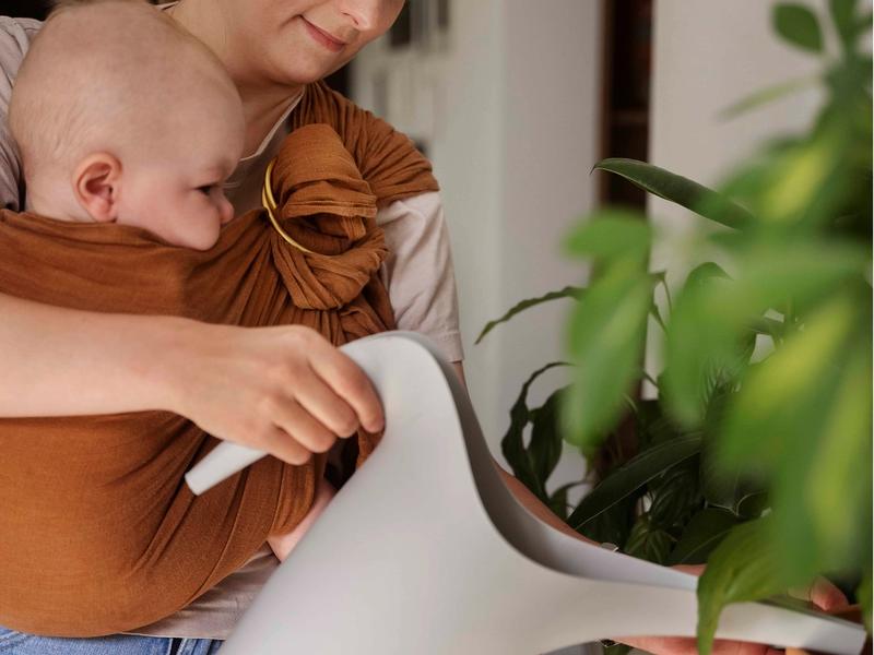 Build a routine that survives real life: windows, anchors, and recovery