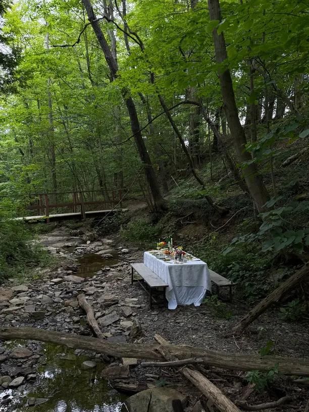 A table set for a gathering beside a woodland stream