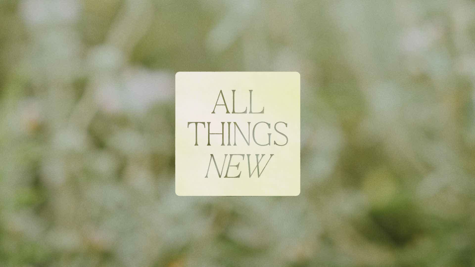 New Joy