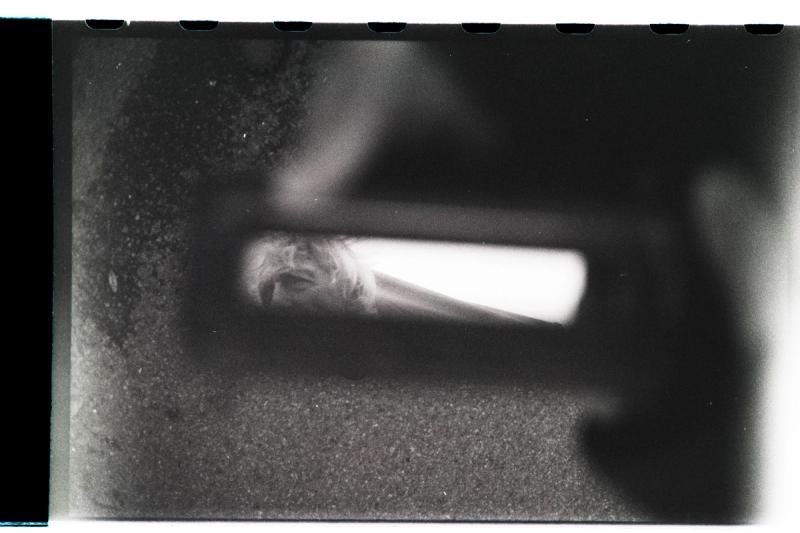 Mexico City Research