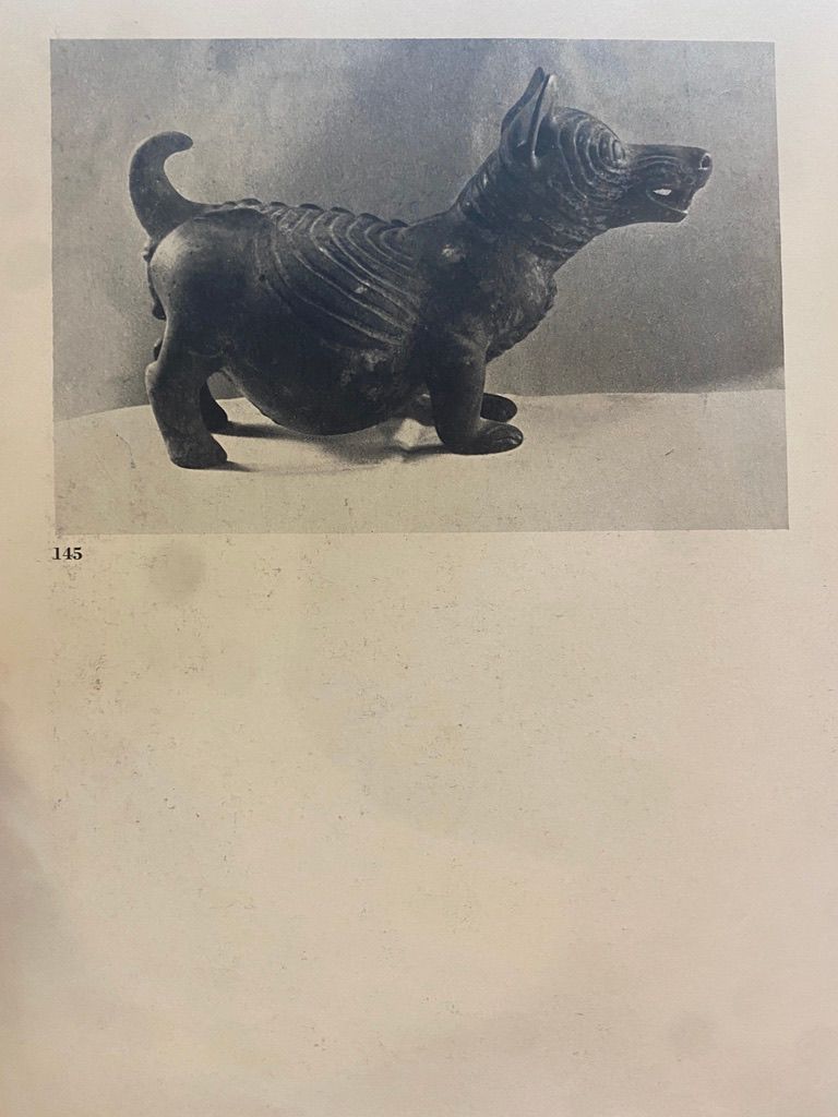 We are concerned only with sculpture; the sculpture of the pre-Cortesian peoples.