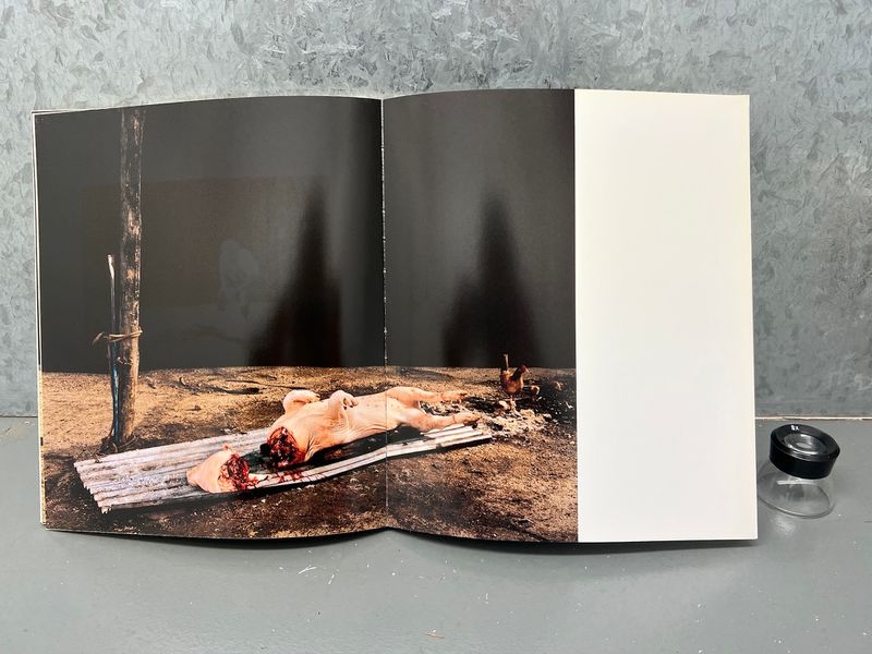 TREVOR APPLESON Photographs Made in Mexico LOS LOSS