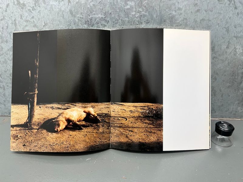 TREVOR APPLESON Photographs Made in Mexico LOS LOSS