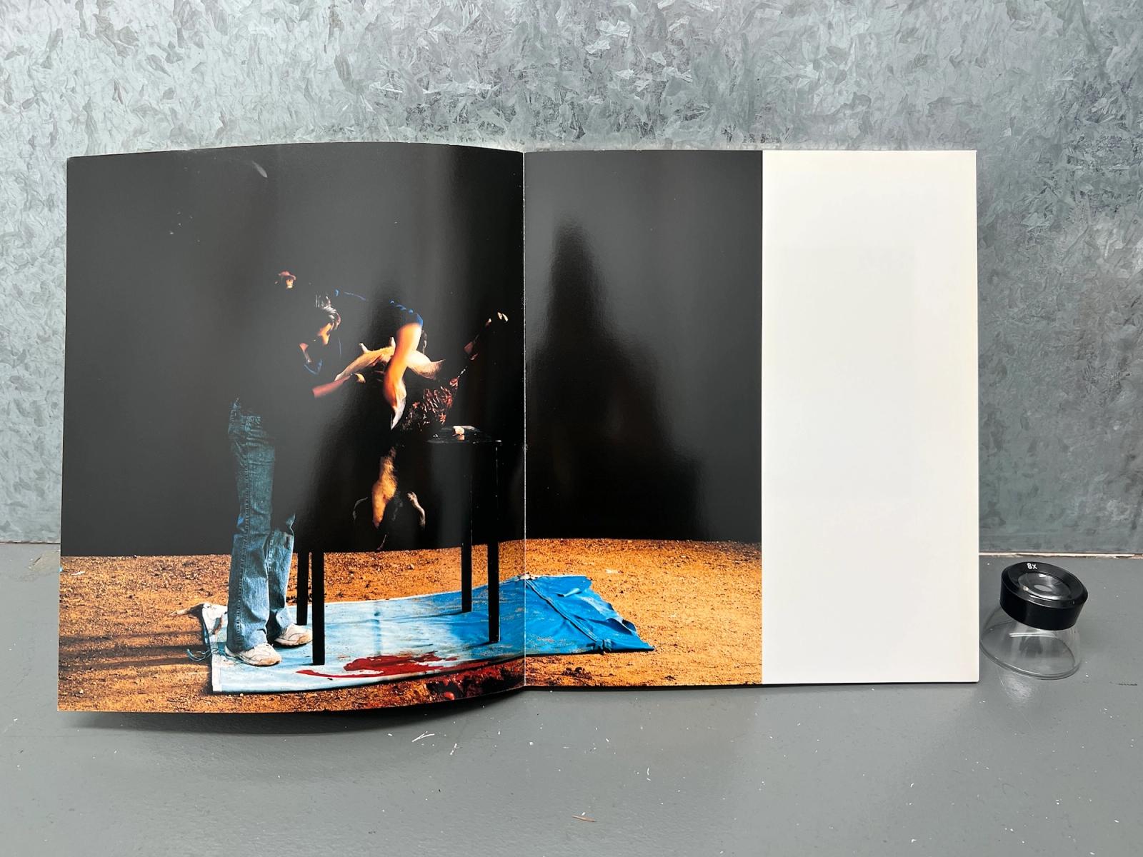 TREVOR APPLESON Photographs Made in Mexico LOS LOSS