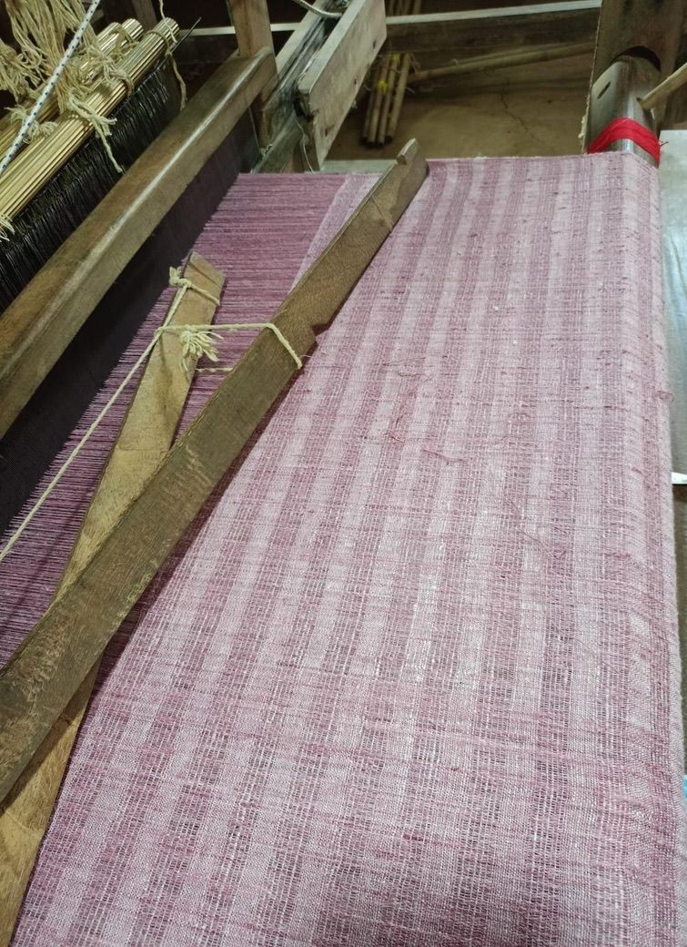 space plain weave dyed with Lac woven by Gunita in assam, india 