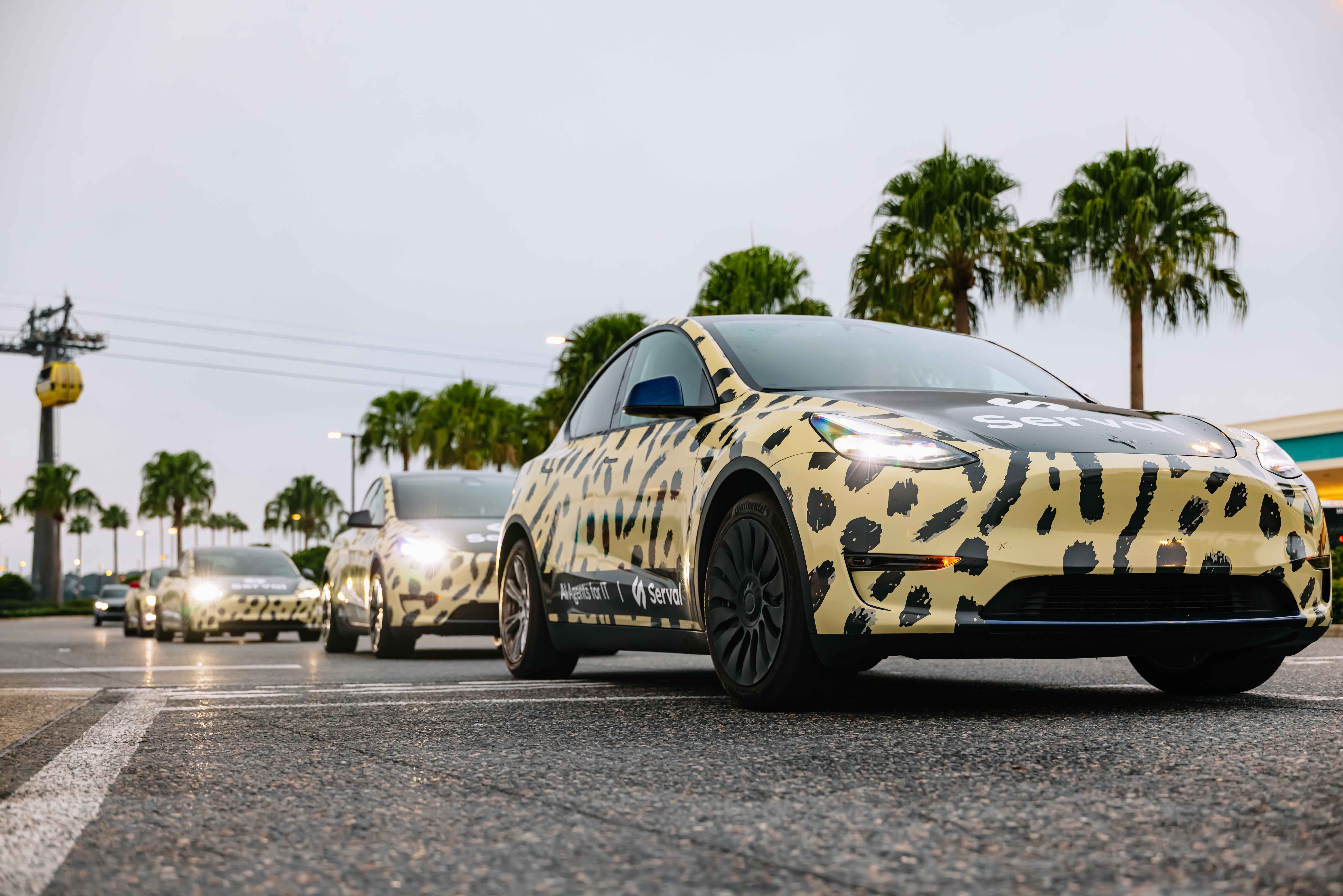 Serval wrapped car