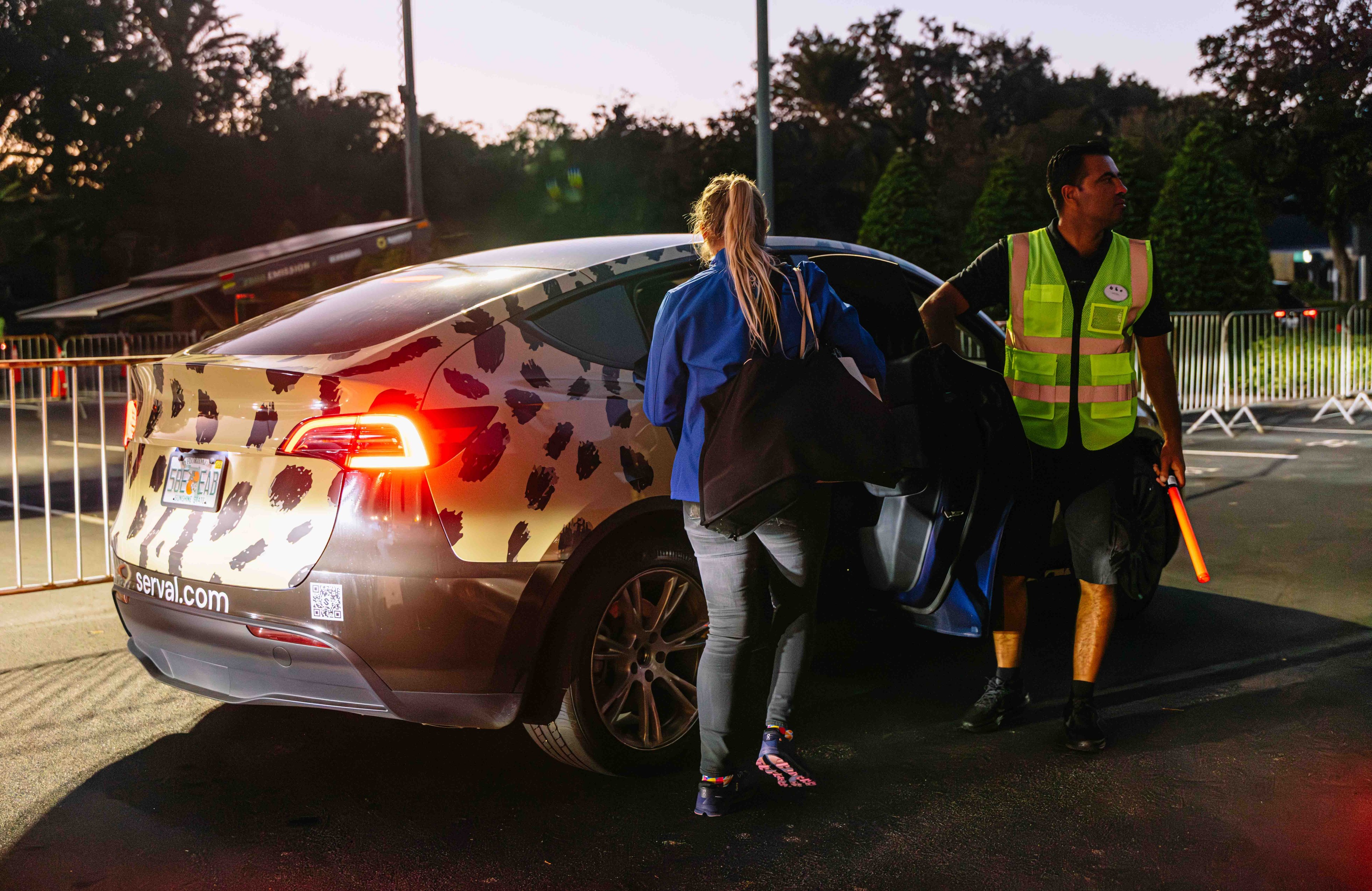 Serval wrapped car