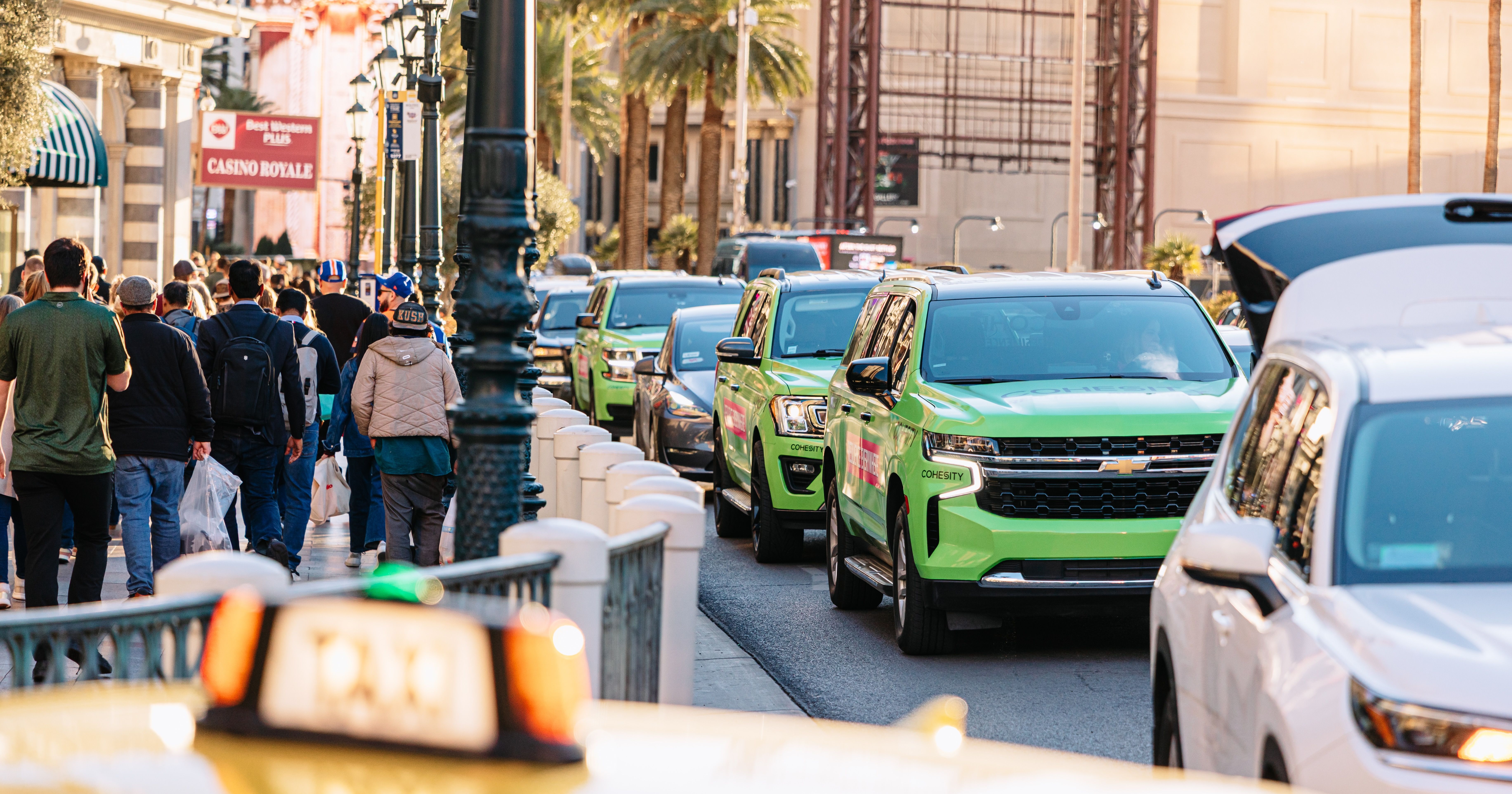 Cohesity wrapped car 