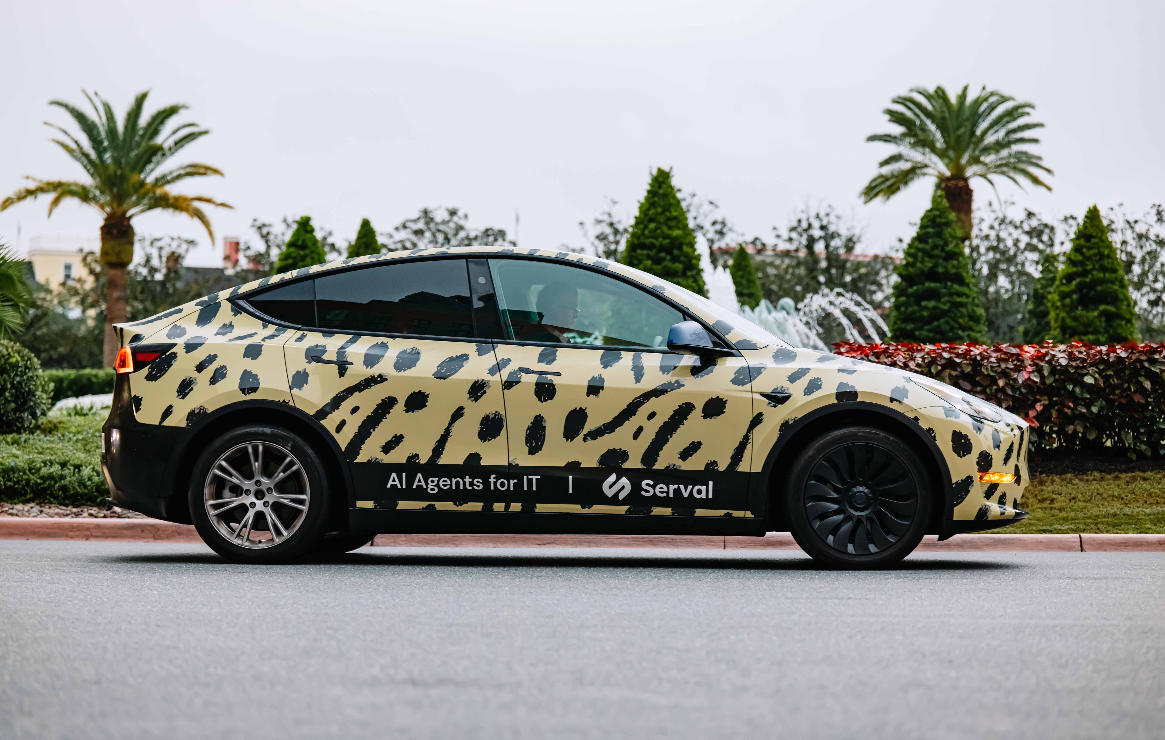Serval wrapped car