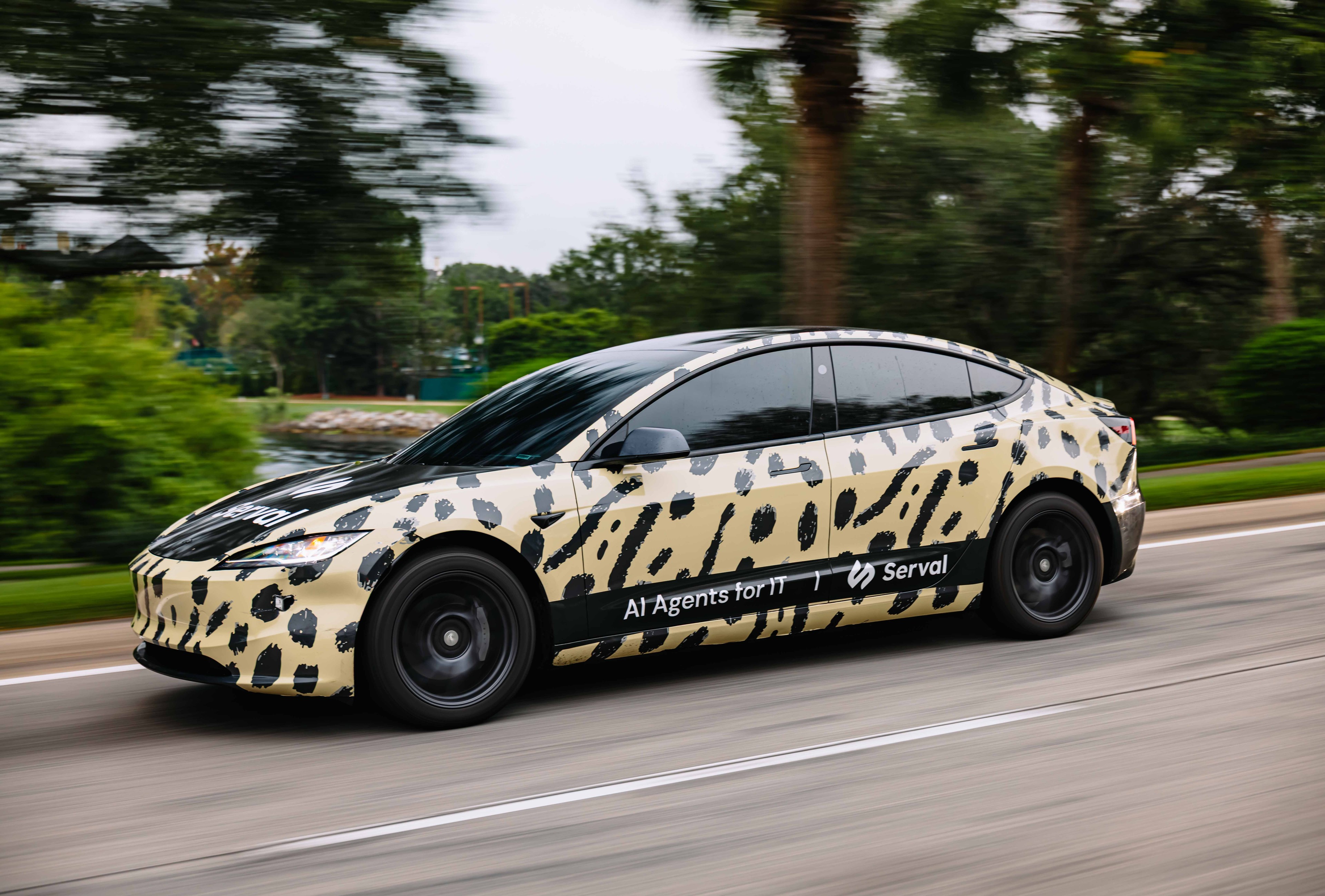 Serval wrapped car