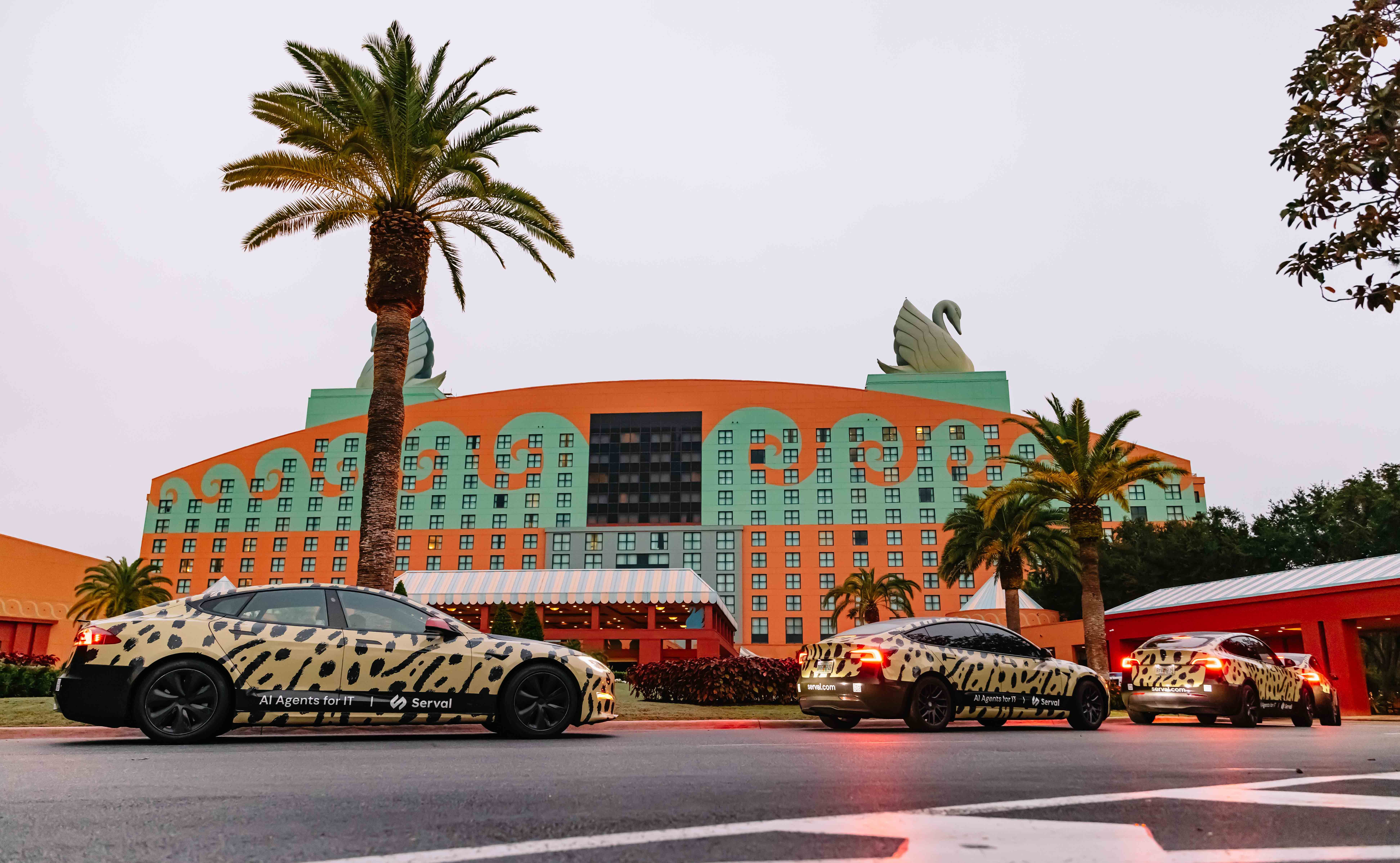 Serval wrapped car