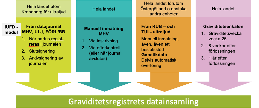 Diagram över Graviditetsregistrets datainsamling från journaler, mödrahälsovård, KUB/TUL och Graviditetsenkäten.